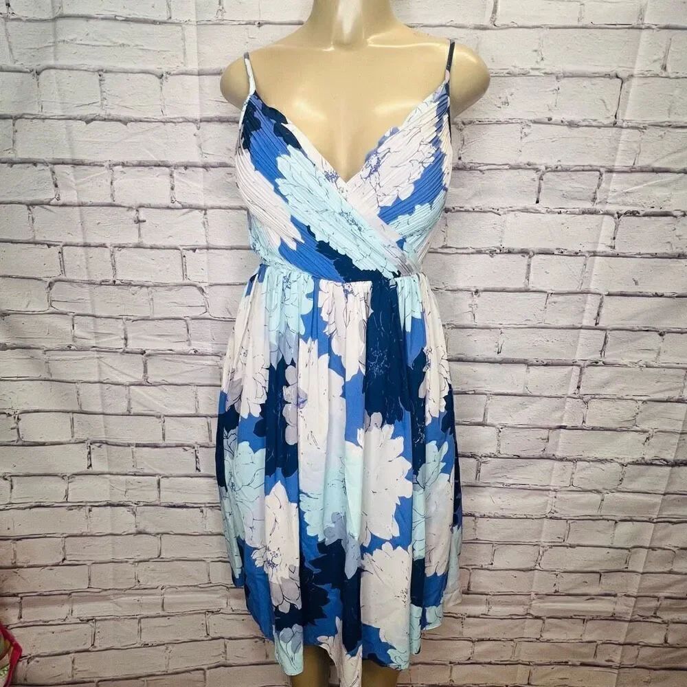 Banana Republic Women's Blue White Floral Print Pleated Dress Size 0